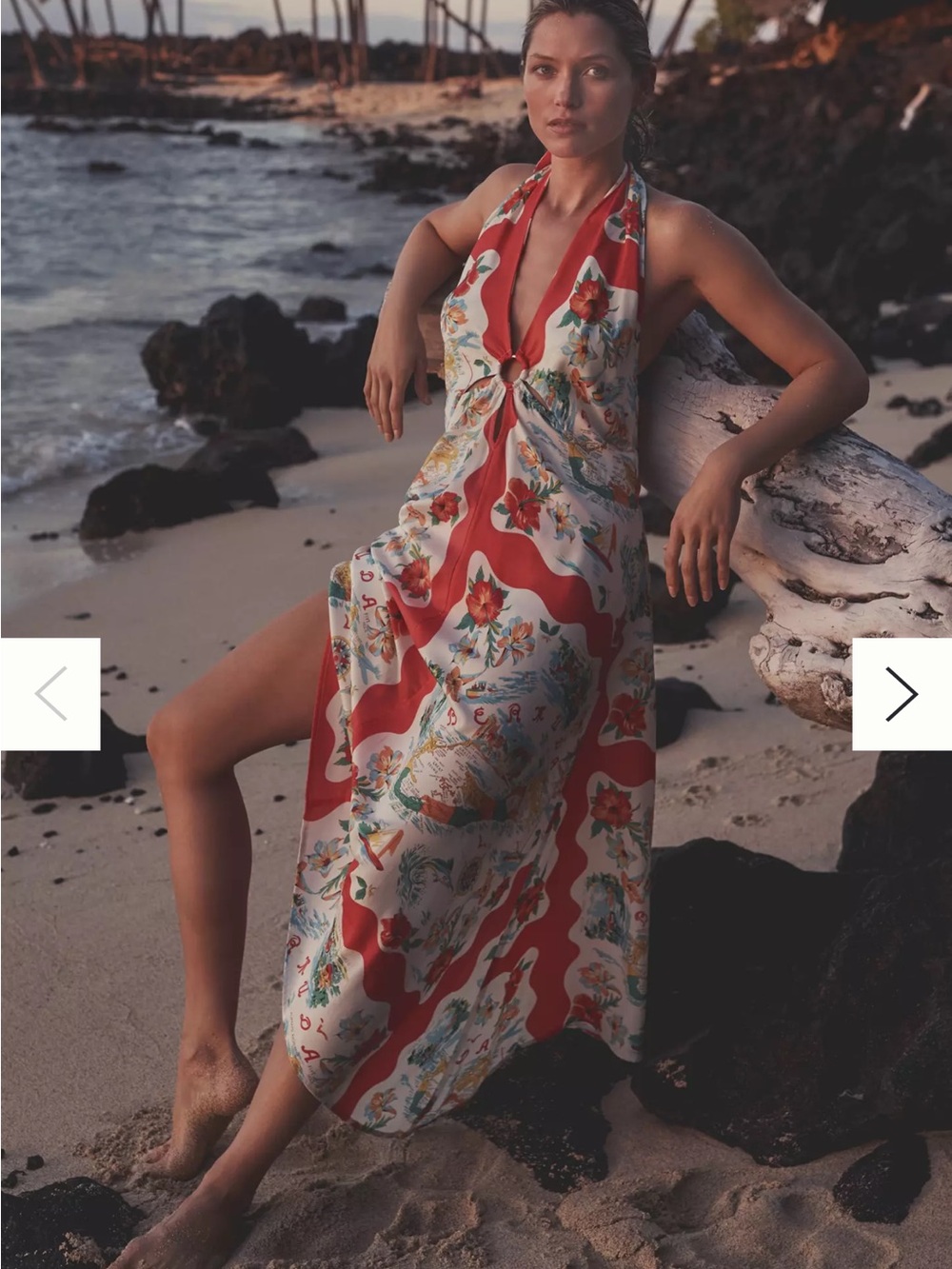 Anthropologie Floral Halter Midi Dress in Red and Cream